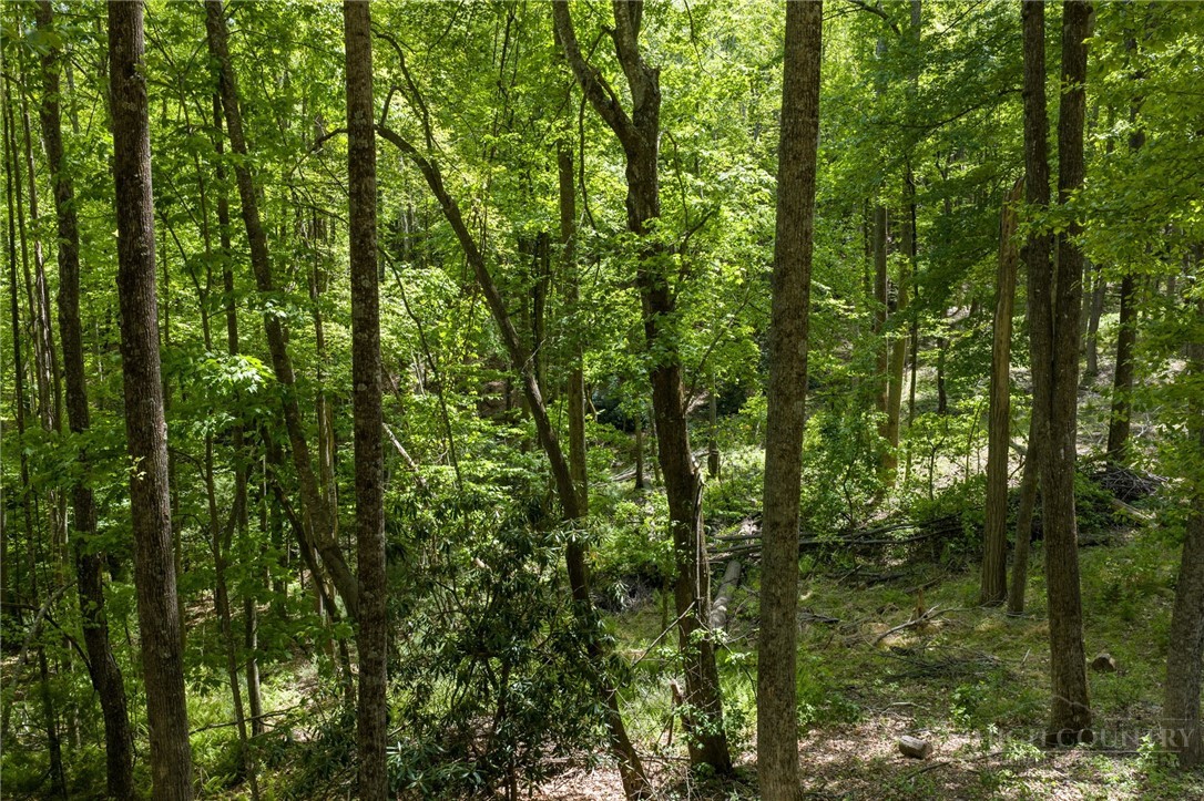 24 Wilderness Reserve Parkway Property Photo 13