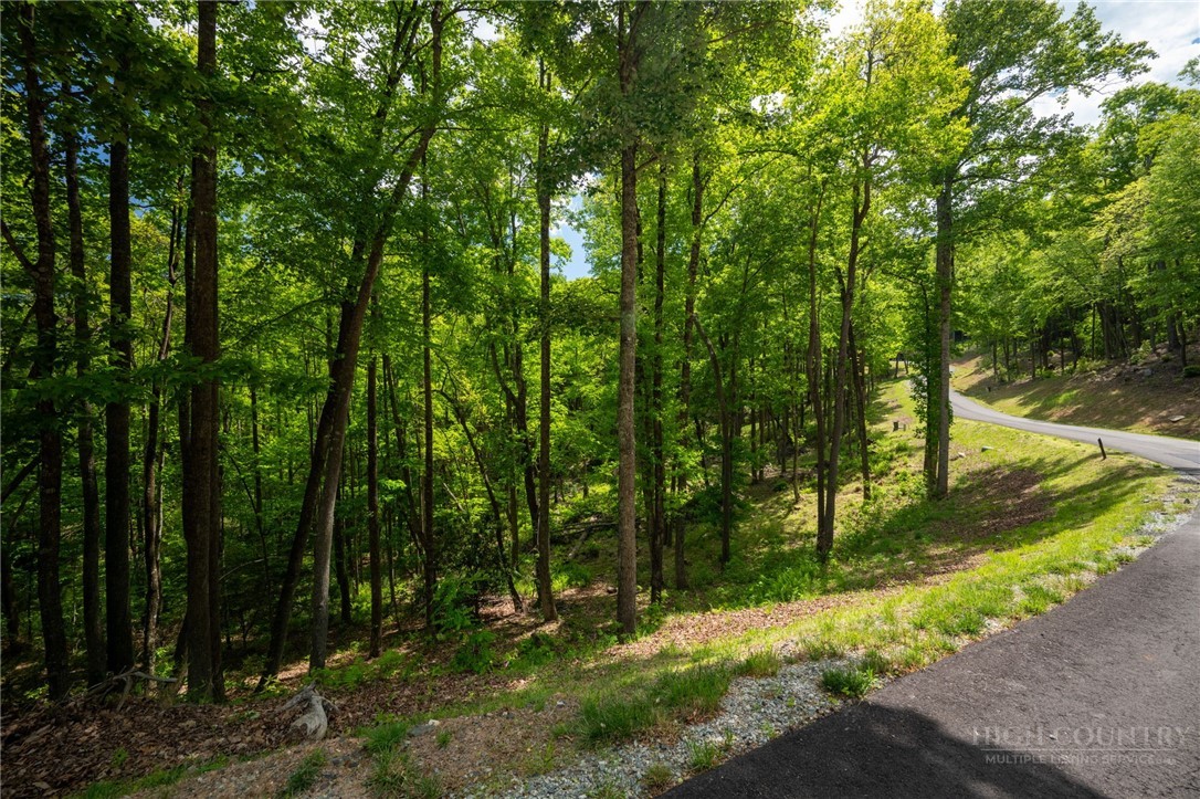 24 Wilderness Reserve Parkway Property Photo 14