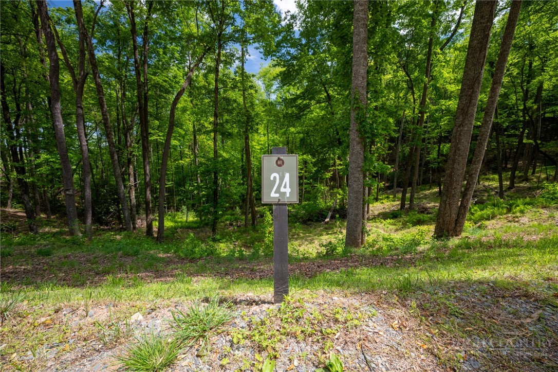 24 Wilderness Reserve Parkway Property Photo 15