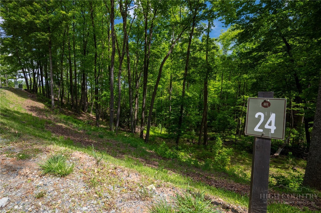 24 Wilderness Reserve Parkway Property Photo 16