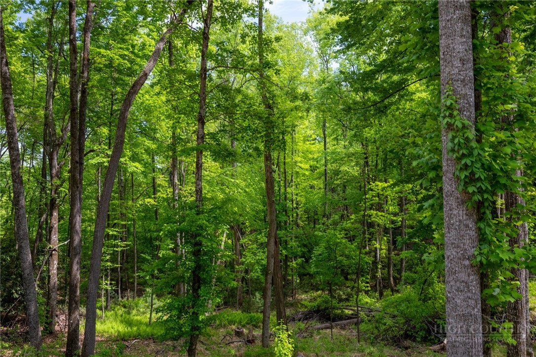 24 Wilderness Reserve Parkway Property Photo 18