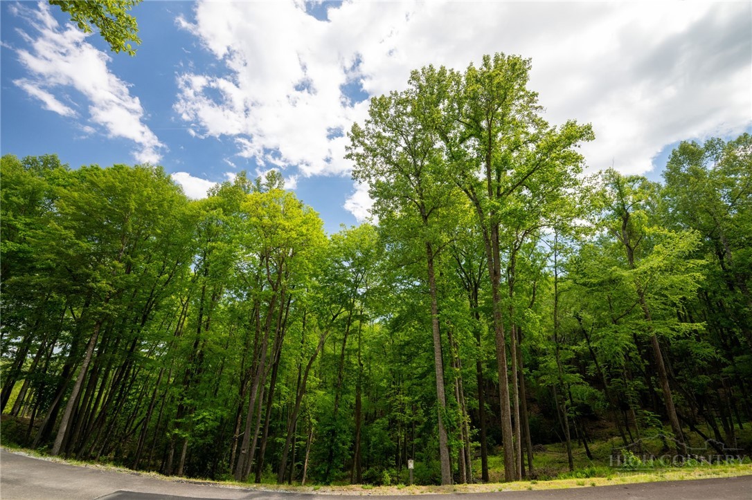24 Wilderness Reserve Parkway Property Photo 19