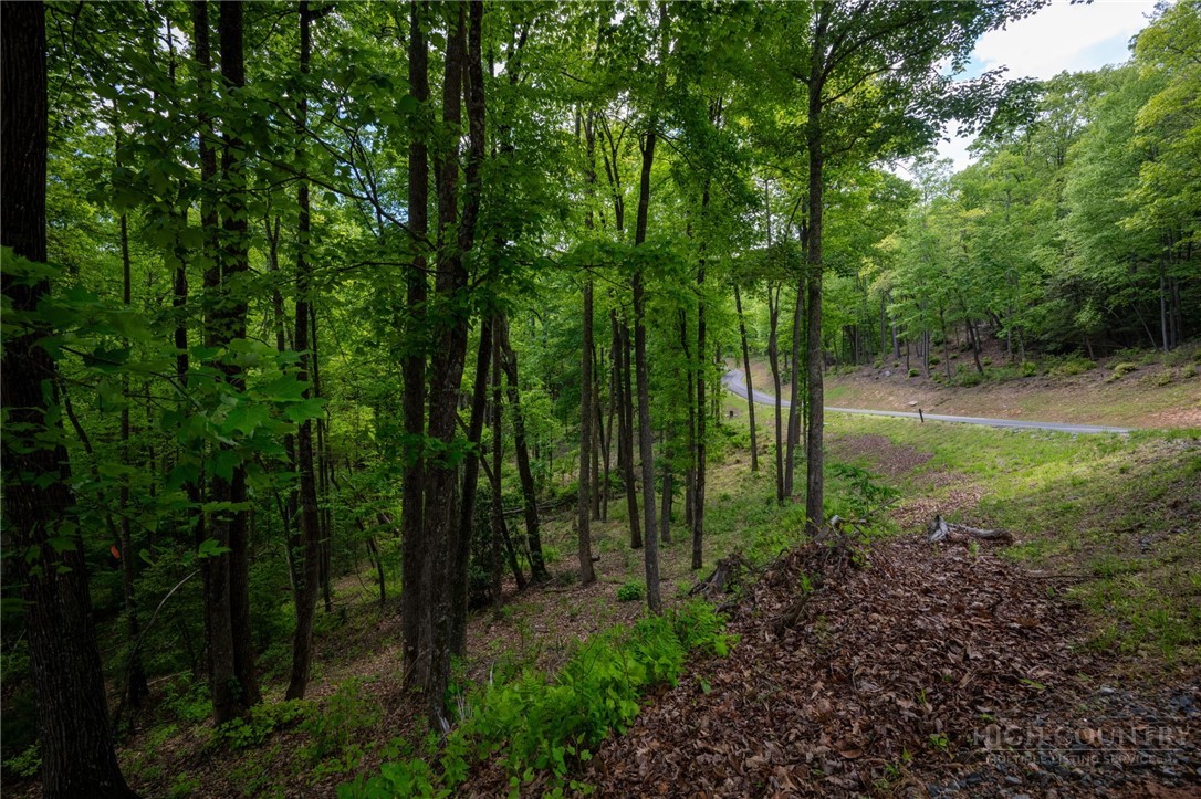 24 Wilderness Reserve Parkway Property Photo 20