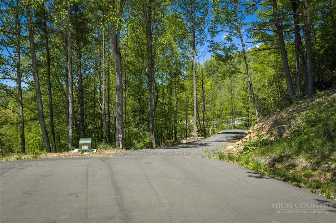 158 Spring Rock Trail