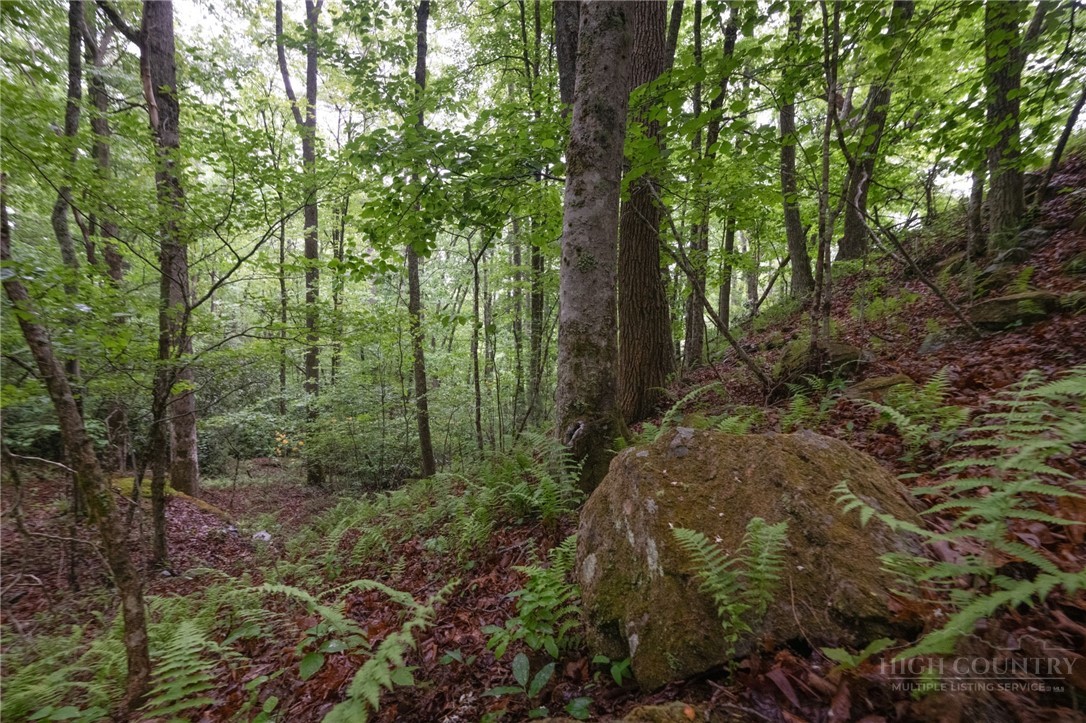 Tbd Taylor Hughes Lane Property Photo 3