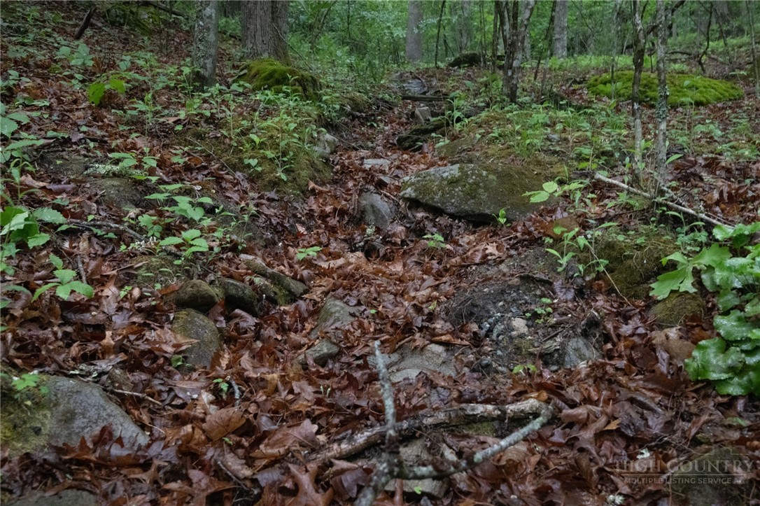 Tbd Taylor Hughes Lane Property Photo 5