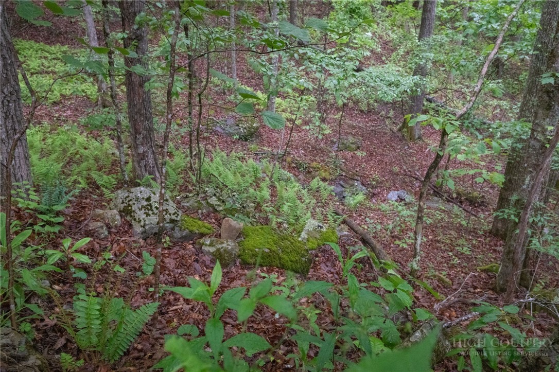 Tbd Taylor Hughes Lane Property Photo 6