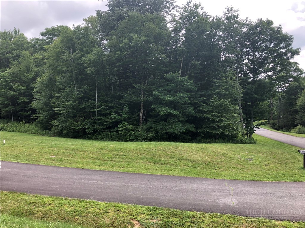 Lot #3 Trillium Lane Property Photo 1