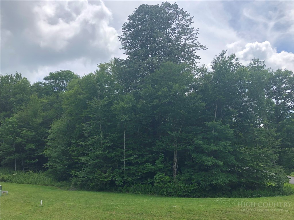 Lot #3 Trillium Lane Property Photo 2