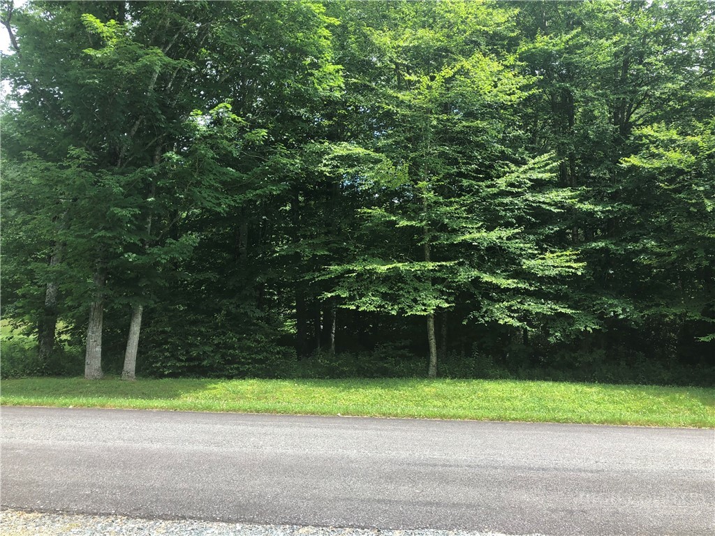 Lot #3 Trillium Lane Property Photo 5