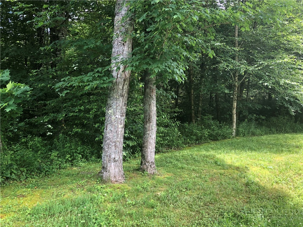 Lot #3 Trillium Lane Property Photo 6