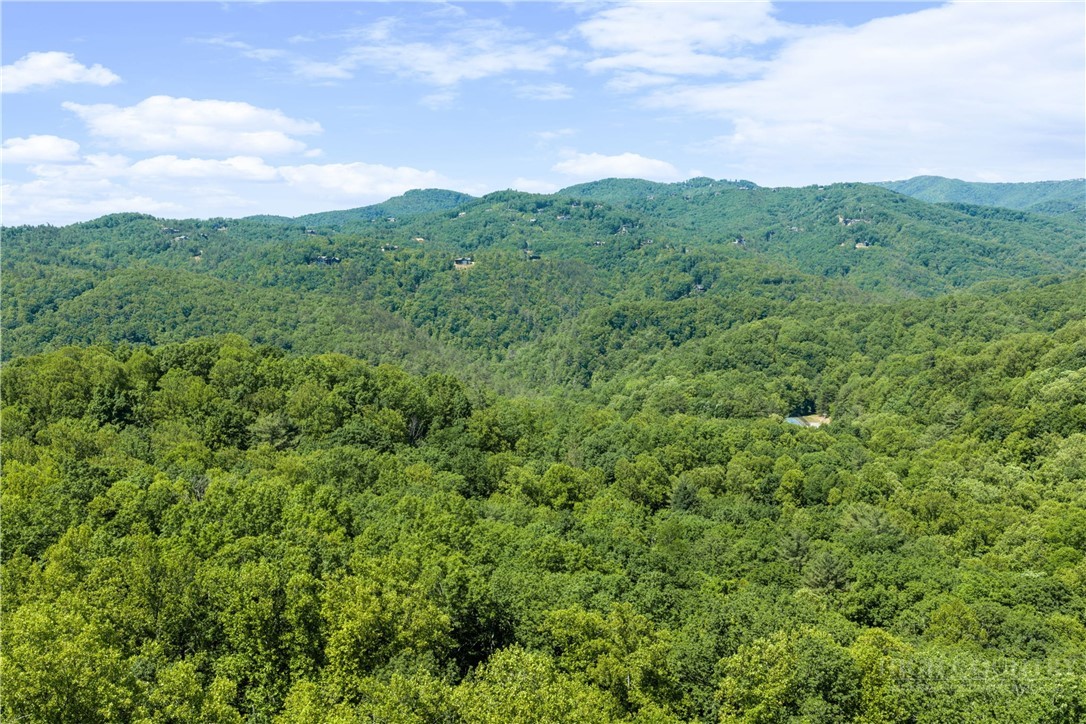 467 E Horse Shoe Ridge Road Property Photo 33