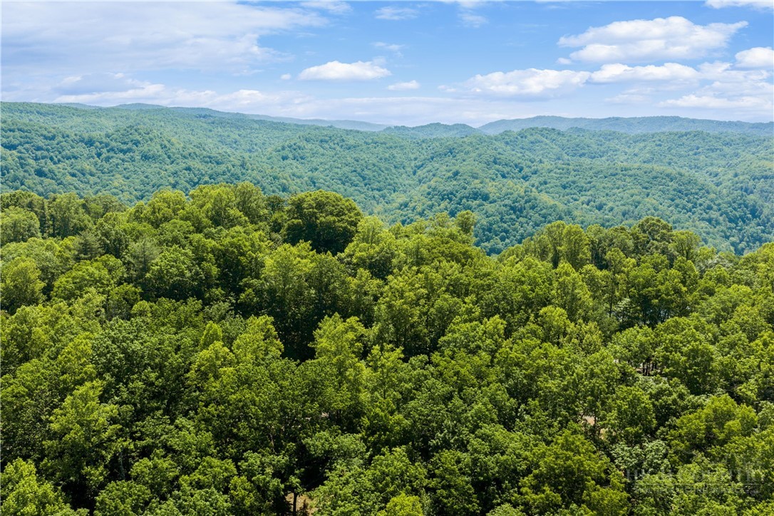 467 E Horse Shoe Ridge Road Property Photo 34