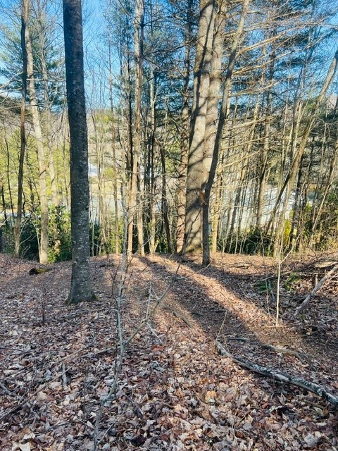 Tbd Skyview Lane Property Photo 1