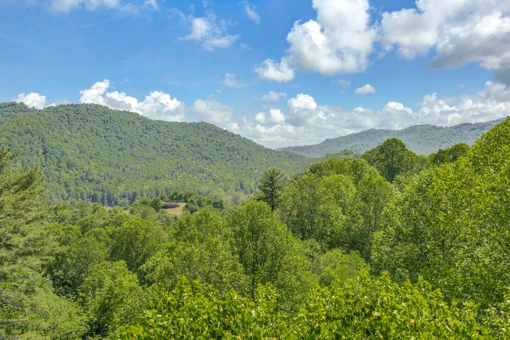 Lot 36 Daisy Ridge Road