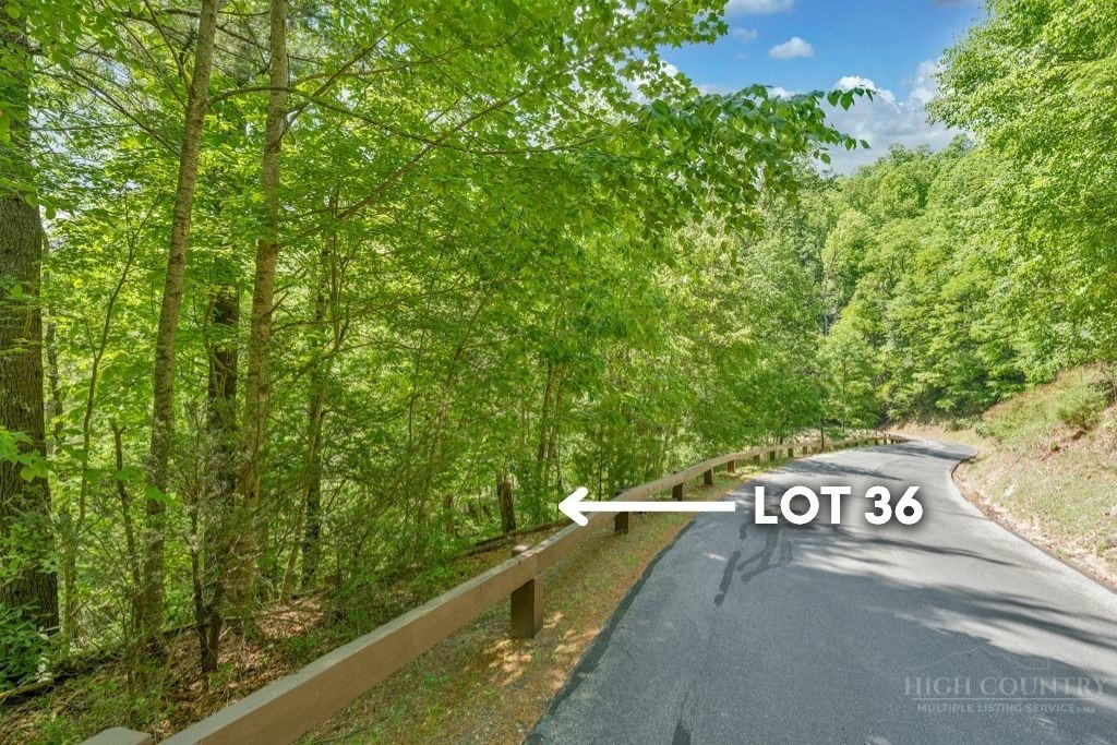 Lot 36 Daisy Ridge Road Property Photo 2