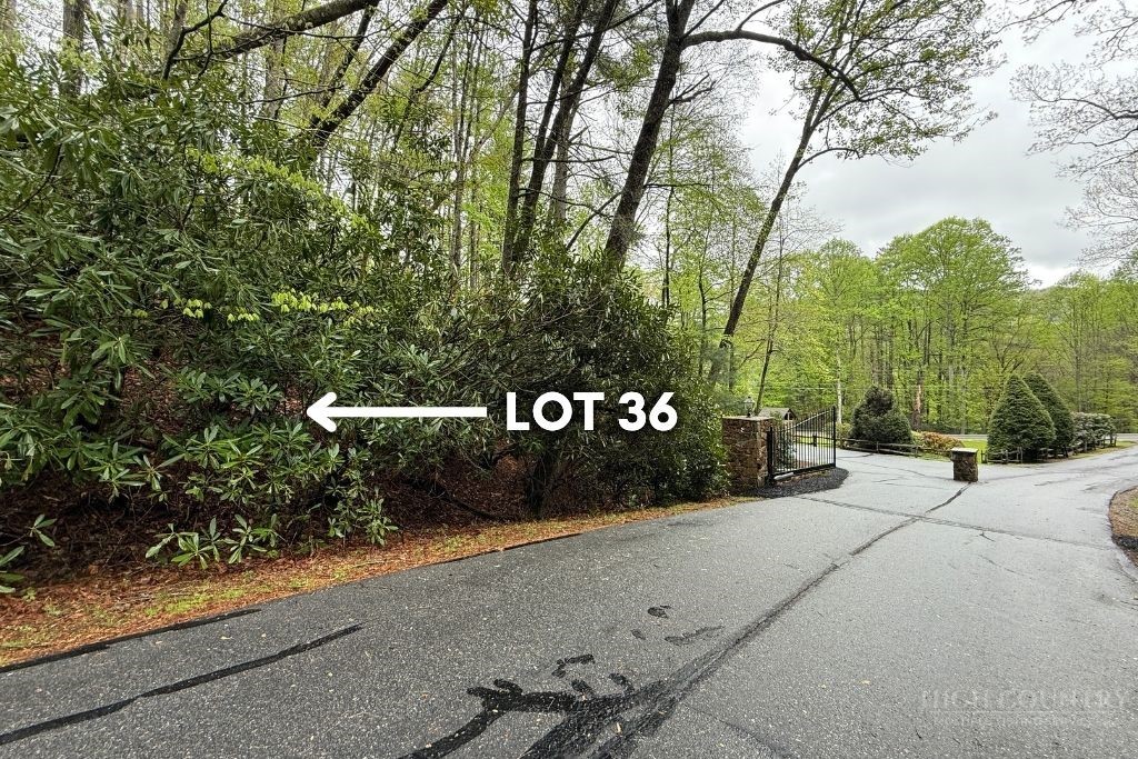 Lot 36 Daisy Ridge Road Property Photo 7