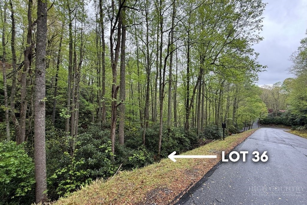 Lot 36 Daisy Ridge Road Property Photo 8