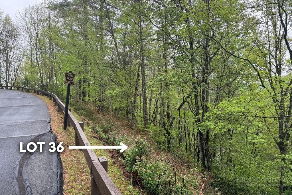 Lot 36 Daisy Ridge Road Property Photo 9