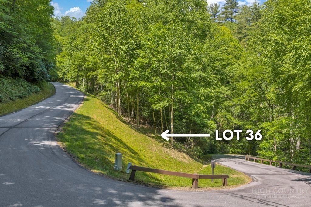 Lot 36 Daisy Ridge Road Property Photo 10