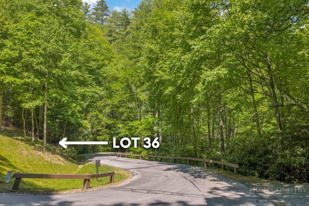 Lot 36 Daisy Ridge Road Property Photo 11
