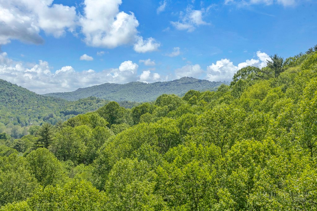 Lot 36 Daisy Ridge Road Property Photo 12
