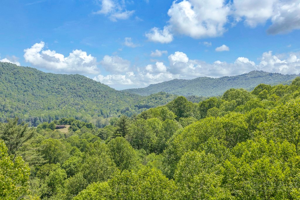 Lot 36 Daisy Ridge Road Property Photo 13