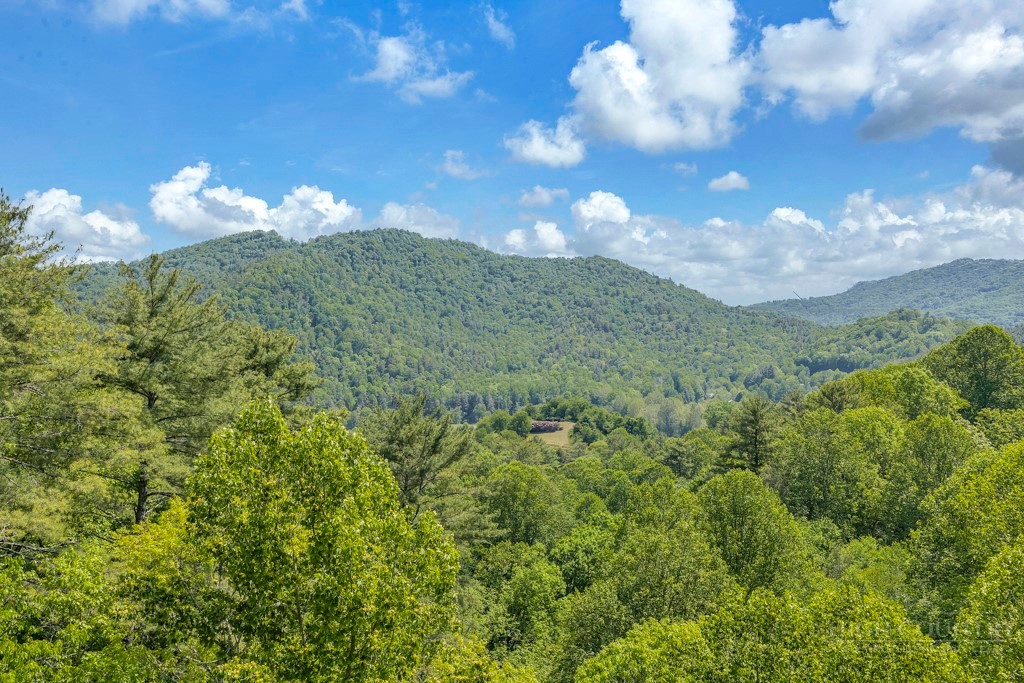 Lot 36 Daisy Ridge Road Property Photo 14