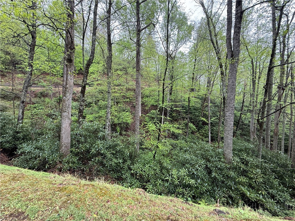 Lot 36 Daisy Ridge Road Property Photo 15