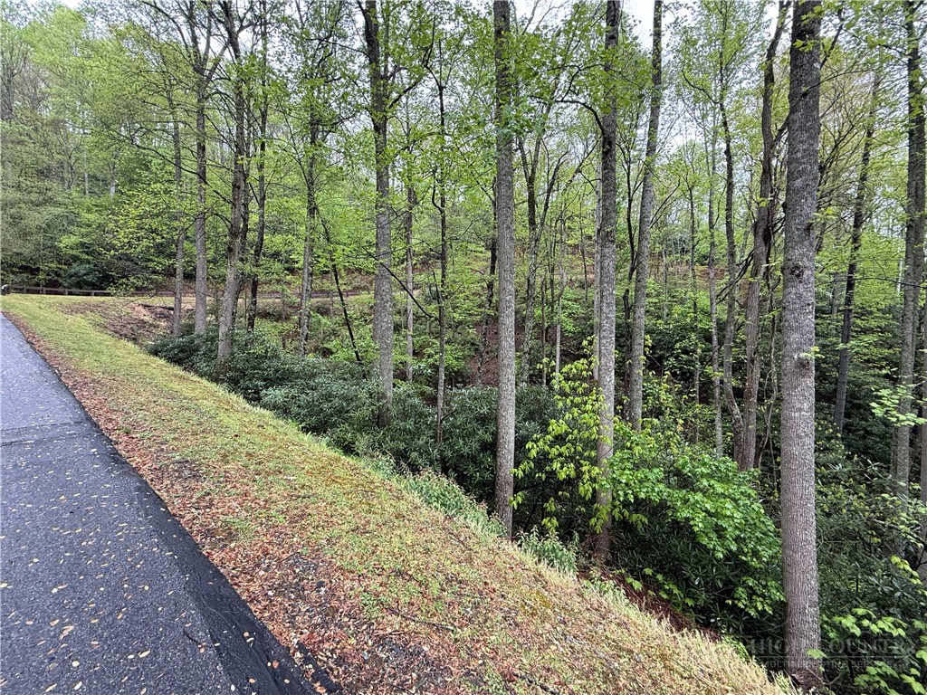 Lot 36 Daisy Ridge Road Property Photo 16
