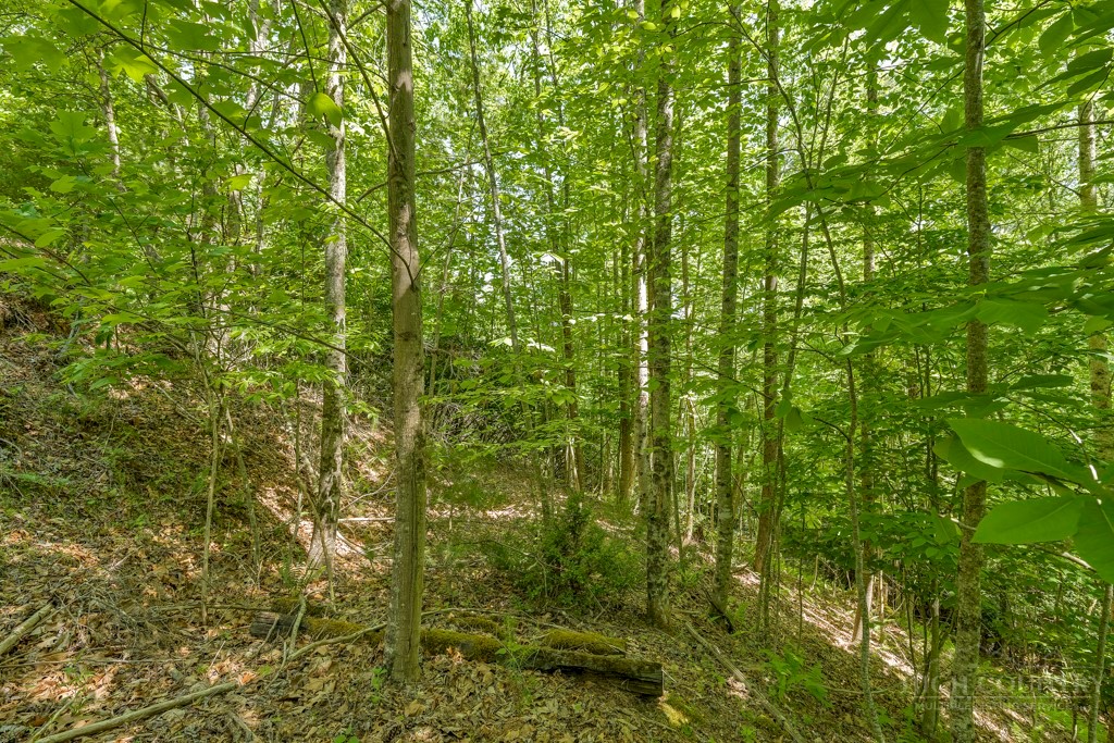 Lot 36 Daisy Ridge Road Property Photo 17