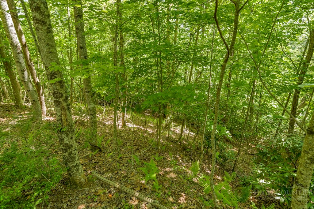 Lot 36 Daisy Ridge Road Property Photo 20