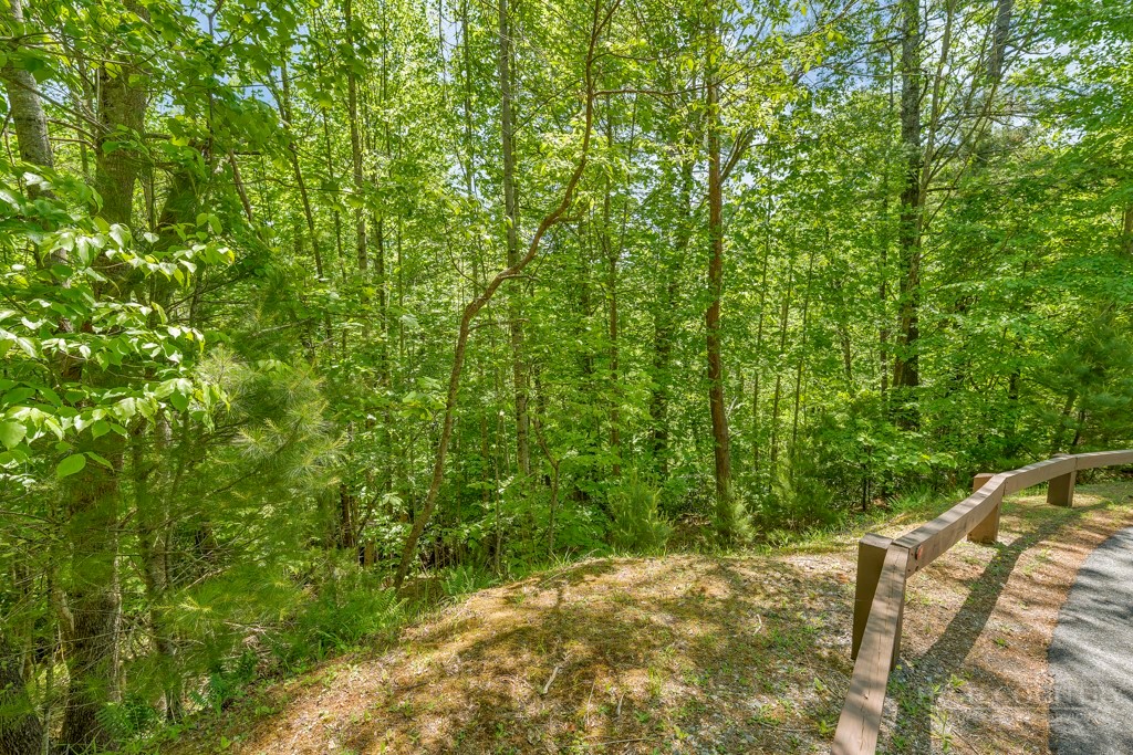 Lot 36 Daisy Ridge Road Property Photo 22