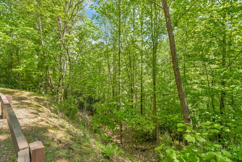 Lot 36 Daisy Ridge Road Property Photo 23