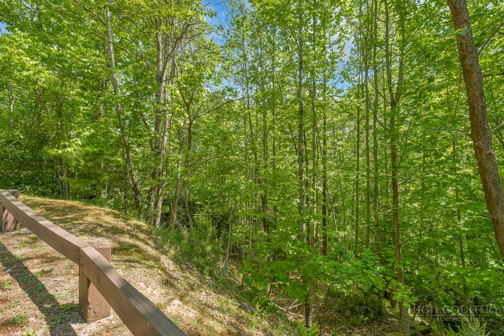 Lot 36 Daisy Ridge Road Property Photo 24