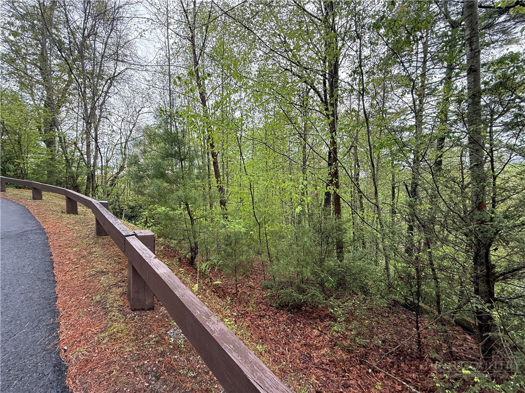 Lot 36 Daisy Ridge Road Property Photo 25