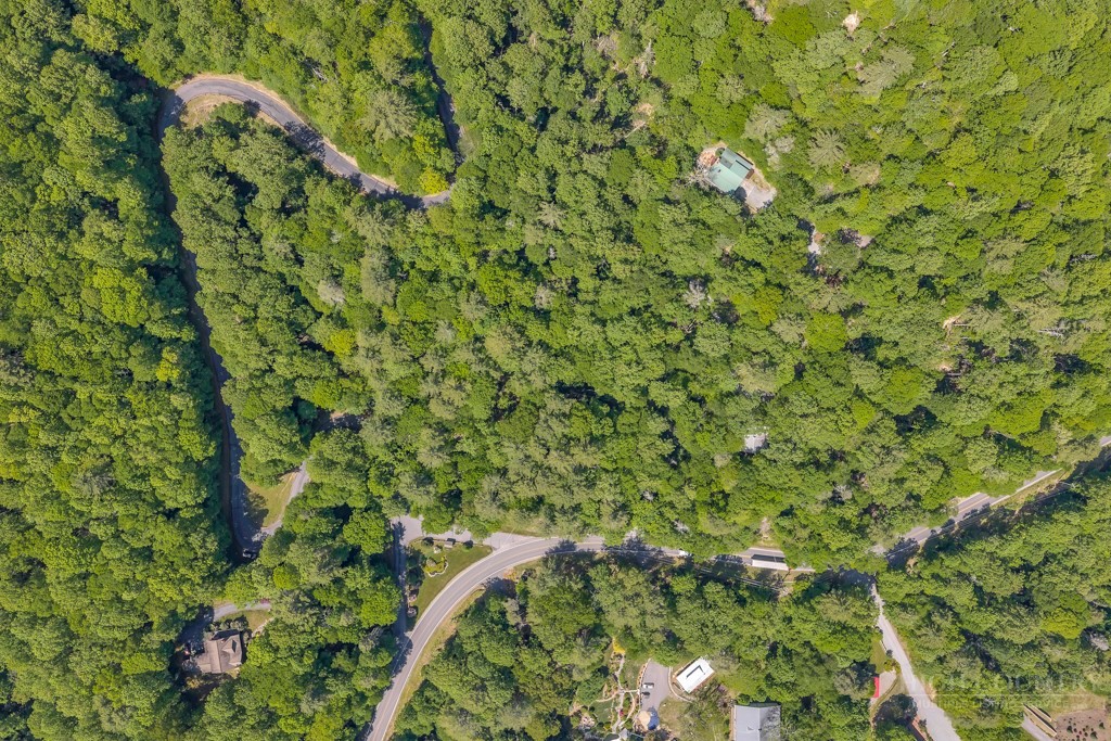 Lot 36 Daisy Ridge Road Property Photo 29