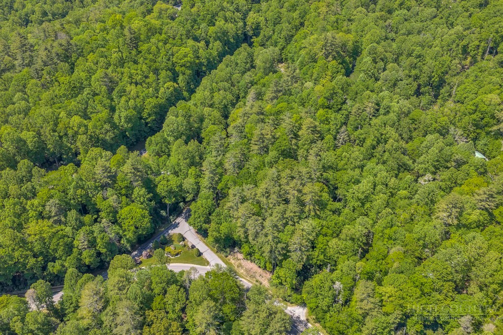 Lot 36 Daisy Ridge Road Property Photo 32