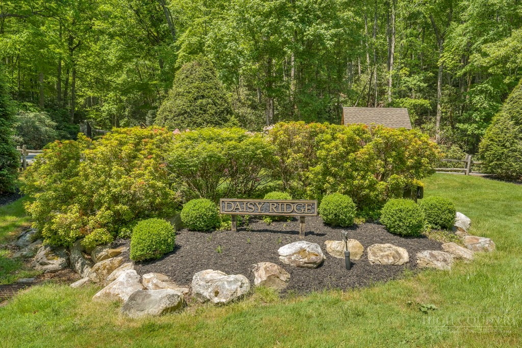 Lot 36 Daisy Ridge Road Property Photo 34
