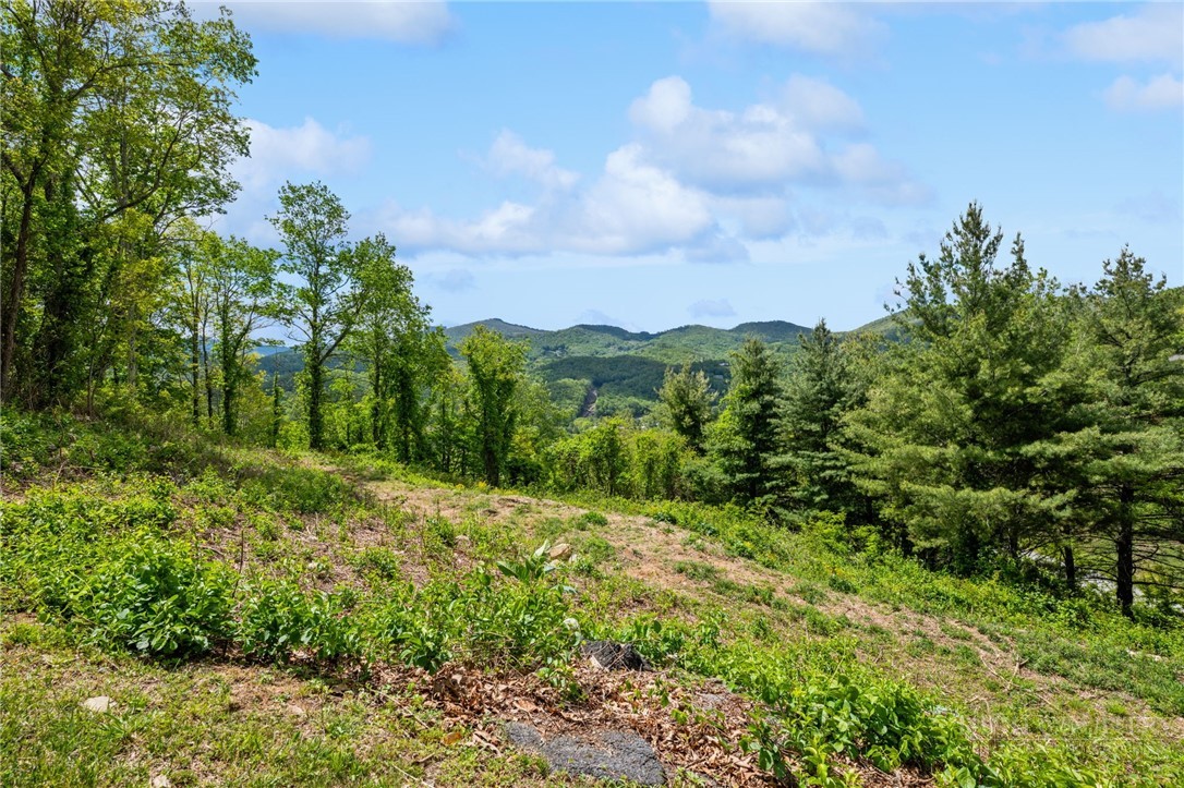 Lot 26 Silver Fox Lane Property Photo 1