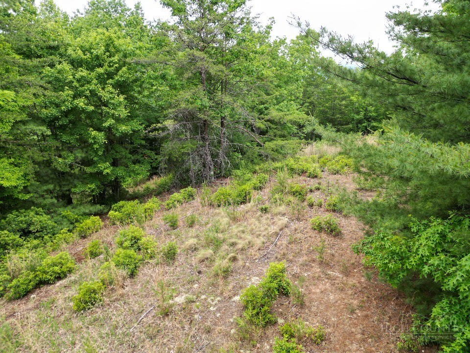22 Elk Ridge Road Property Photo 7