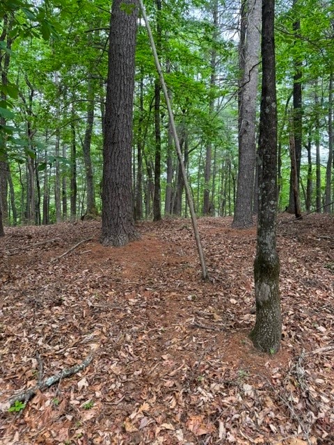 22 Elk Ridge Road Property Photo 8