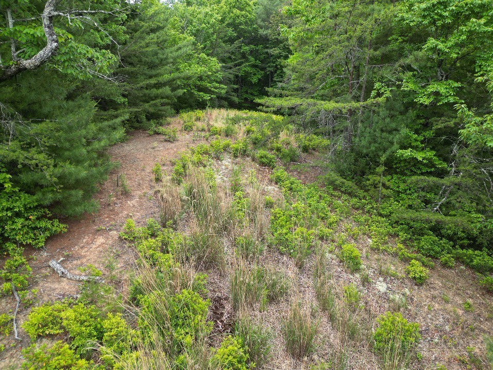 22 Elk Ridge Road Property Photo 9