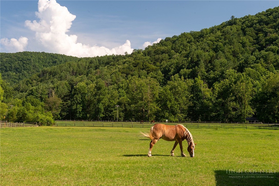 22 Elk Ridge Road Property Photo 13