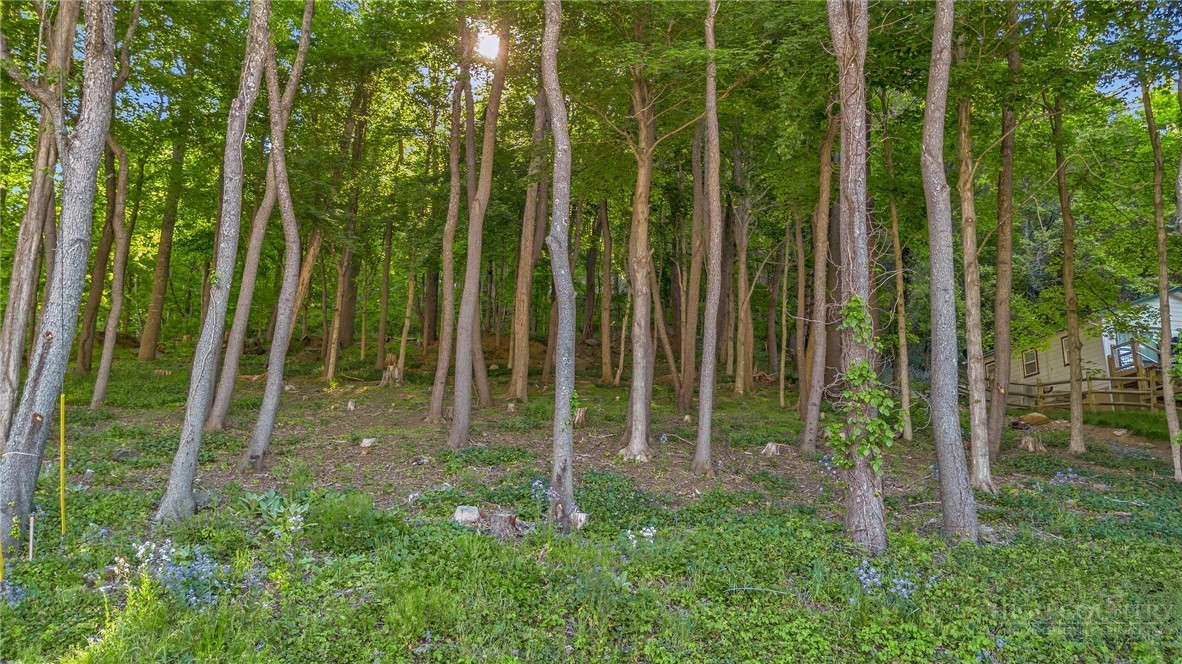 Tbd Spruce Street Property Photo 7