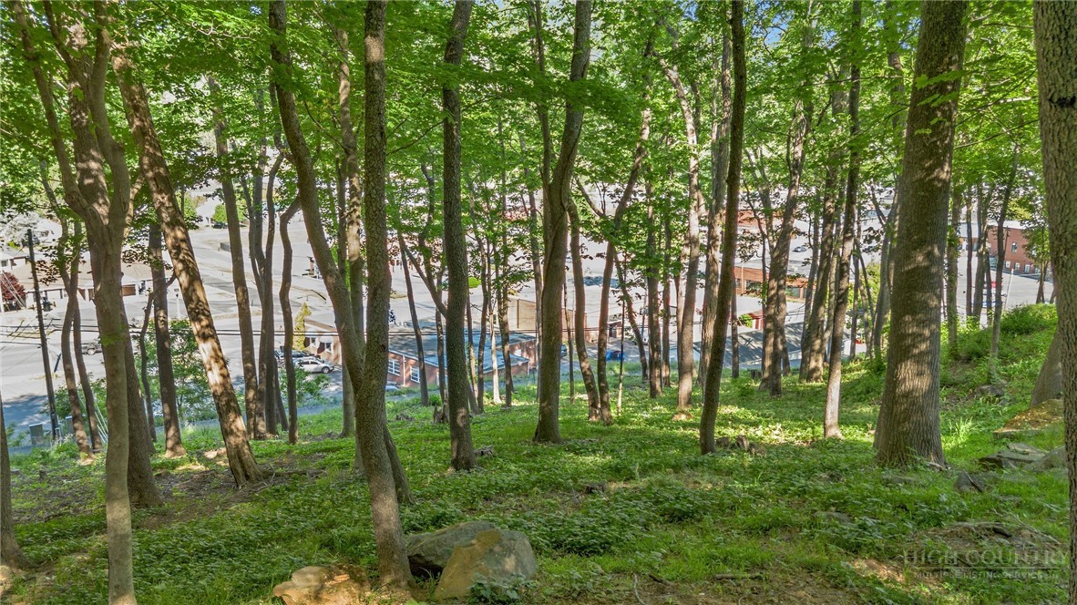 Tbd Spruce Street Property Photo 10