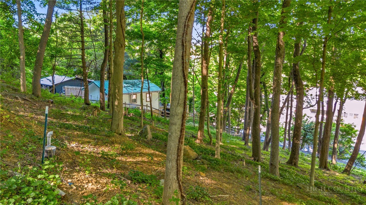 Tbd Spruce Street Property Photo 11
