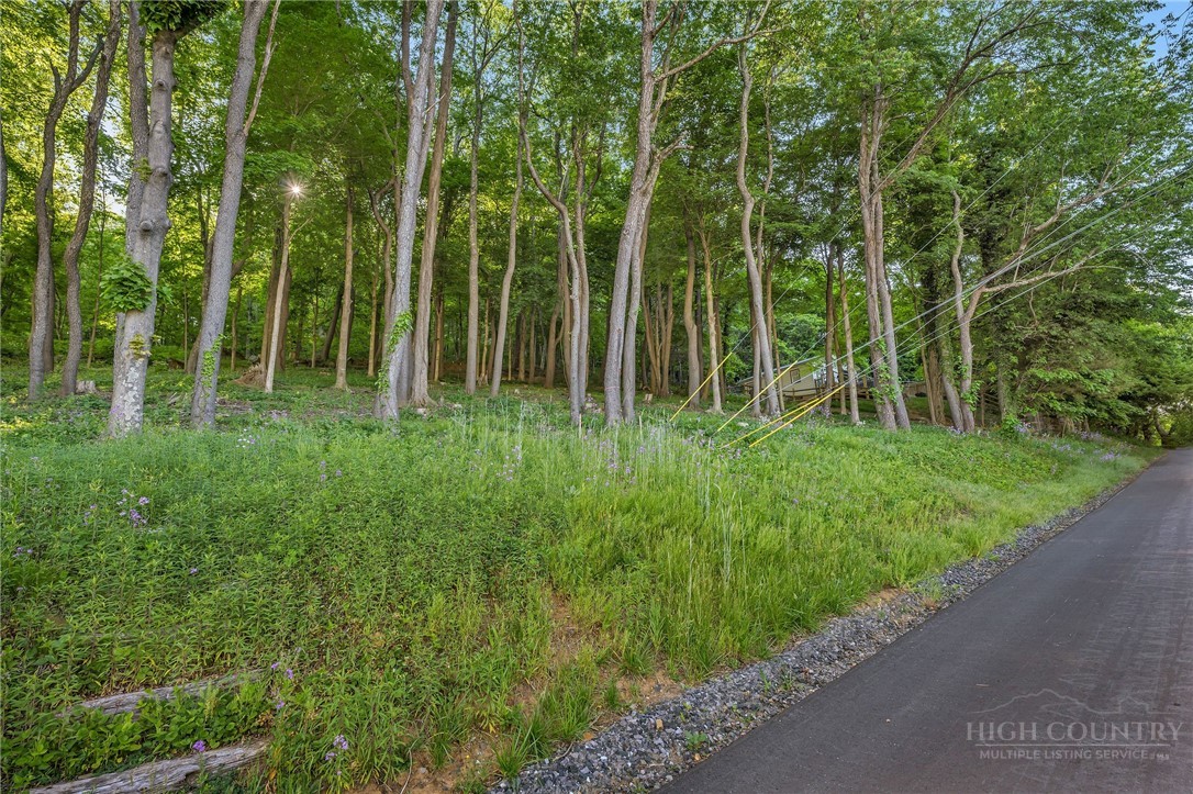 Tbd Spruce Street Property Photo 13