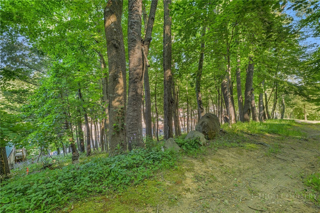 Tbd Spruce Street Property Photo 14