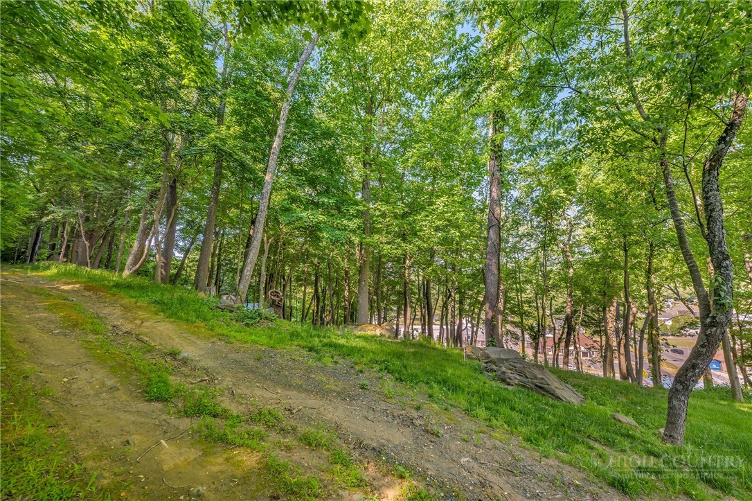 Tbd Spruce Street Property Photo 15